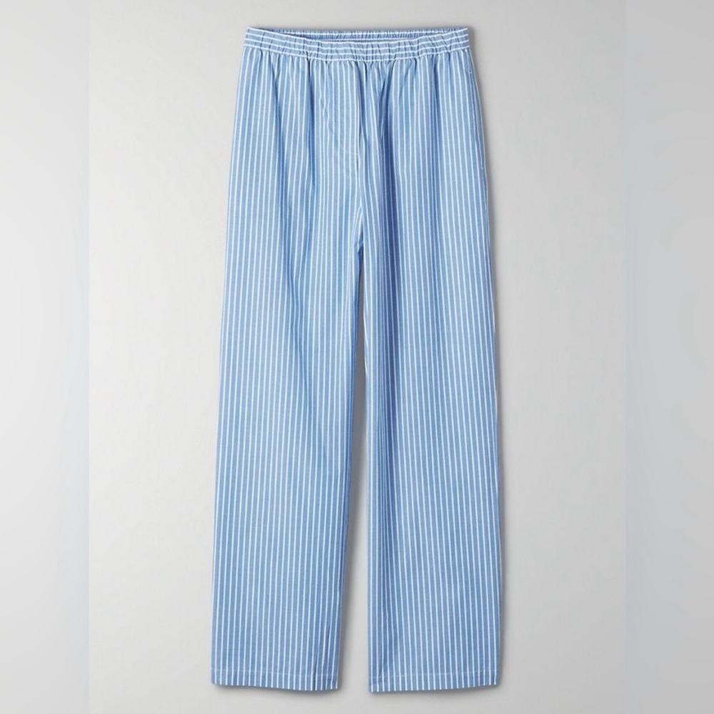 Aritzia Blue Striped Pants